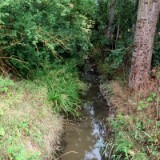 2608F 016 Taubertal